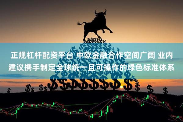正规杠杆配资平台 中欧金融合作空间广阔 业内建议携手制定全球统一且可操作的绿色标准体系