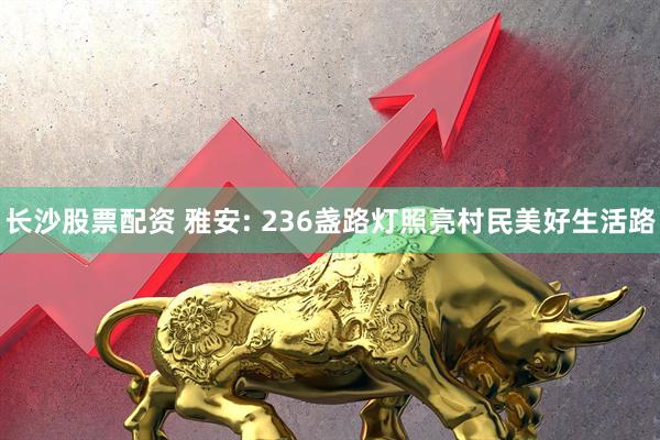 长沙股票配资 雅安: 236盏路灯照亮村民美好生活路