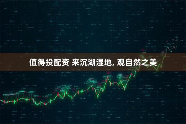 值得投配资 来沉湖湿地, 观自然之美